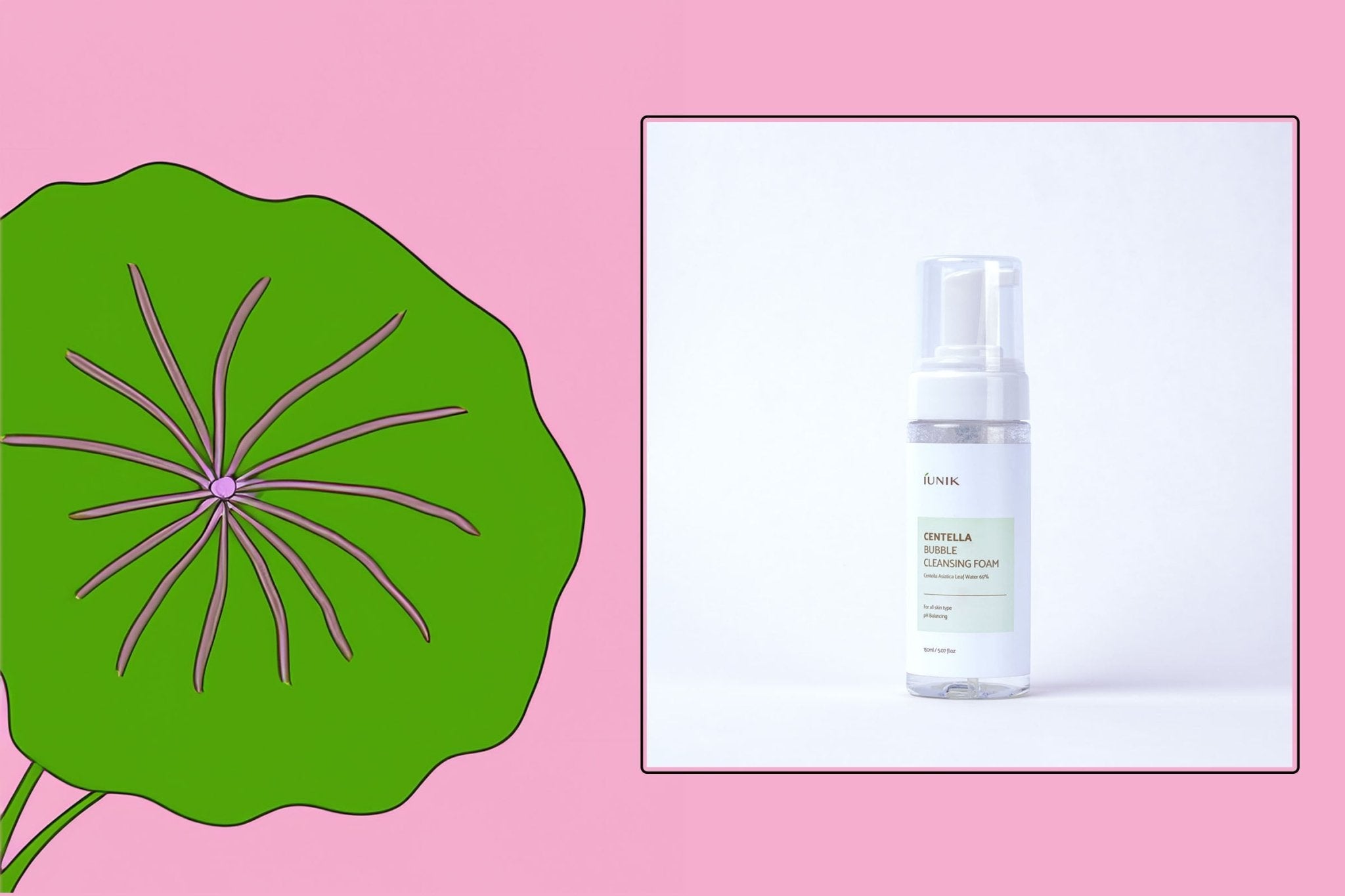 Centella Asiatica dans les cosmétiques : les bienfaits - Oh my Mirae